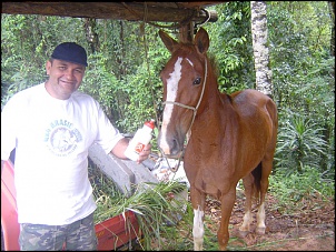 3a Etapa da 1a Gincana de Trilhas - Forum 4x4 Brasil.-z1_207.jpg