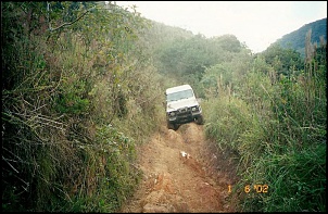 -scannedimage-2.jpg