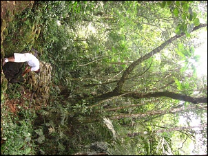 -img_0117.jpg