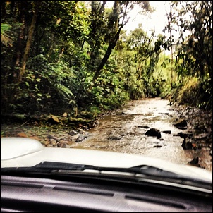 Clube do Tracker !!-img_1648.jpg