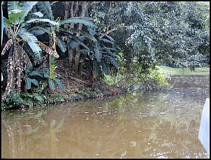 &quot; I ENCONTRO V.Q.Q. (vai quem quer) DE INVERNO DOS TOYOTEIROS DO RIO DE JANEIRO&quot;-264497_4829562704969_362974820_n.jpg