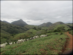 -passeio1.jpg