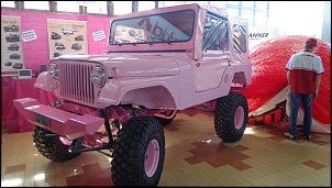 Fenajeep 2013-dsc03176.jpg