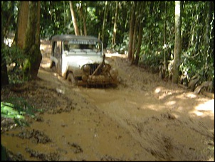 -imagem_camera_030_221.jpg