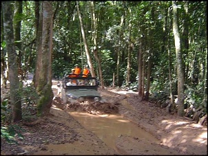 -imagem_camera_031_745.jpg