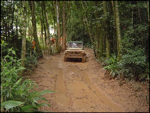 -imagem_camera_037_871.jpg