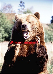 -ursomimimi_198.jpg