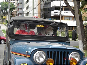 JipeNoel do Curitiba4x4-dsc02098p.jpg