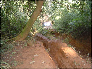 -trilha-pinheirinho-017.jpg