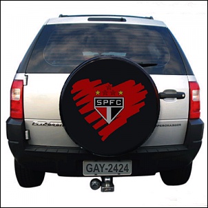 EcoSport-ecospfc.jpg