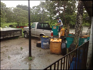 Troca de Ranger por F1000 MWM X10 4x4-netos069.jpg