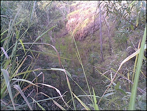 Ranger 2.3 16V XL!!!-30062009-008-.jpg