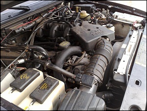 Ranger V6: roteamento das mangueiras de vacuo?-11102008010.jpg
