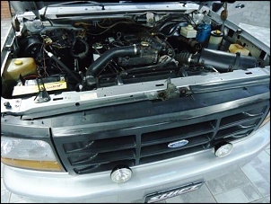 Troca de Ranger por F1000 MWM X10 4x4-f1000-4.jpg