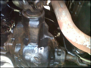 Detalhes gerais da F1000?!?-femil_eixo-dana-44.jpg