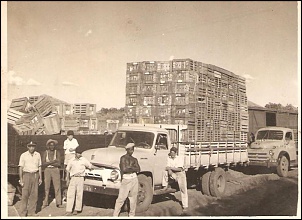 F350 v8 1957-fotos-hideo-umino-e-familia.-060.jpg