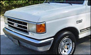 Grade cromada para F1000 93-95-cnv8ttq-48_20.jpg