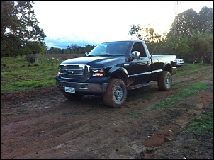 Fotos de f250-1130_528991160472129_1780513283_n.jpg