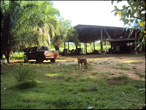 Fotos de RANGER - Coloque a sua aqui!!-dsc00768.jpg