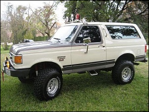 Hello, from the USA-1990-ford-bronco-2.jpg