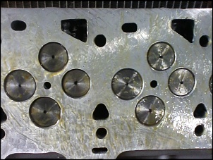 -img00036.jpg