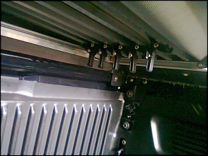 -foto0137.jpg
