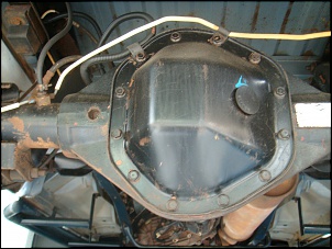 Troca de Ranger por F1000 MWM X10 4x4-efe-1000_dif-tras_406std.jpg