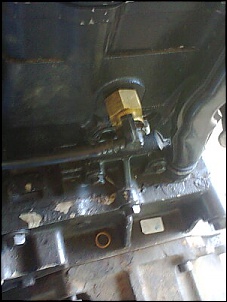 f1000 com motor cummins max power-foto0159.jpg