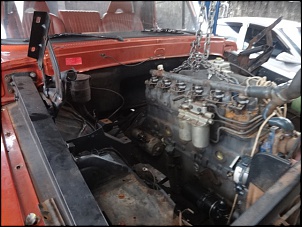 F-1000 trocando o motor mwm 229-4 por um mwm 229-6-dsc06357.jpg