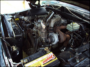-f1000-2.jpg