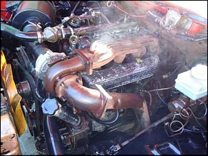 -f10003.jpg