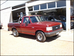F-1000   -   1995   - 4.9i-dsc02920.jpg