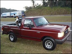 F-1000   -   1995   - 4.9i-dsc02928.jpg