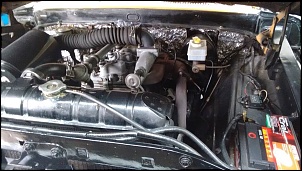 F100 com motor da F1000-5799_1780689845493097_6492332802572705684_n.jpg