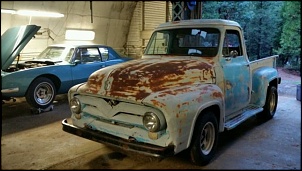 -f100-rat-55-4.jpg