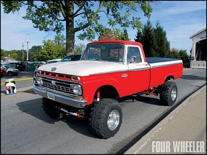 -f100-66-4x4-33.jpg
