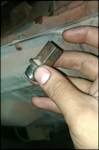 -bujao-2.jpg