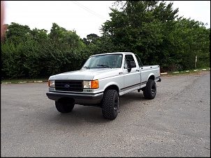 F-1000   -   1995   - 4.9i-1.jpg