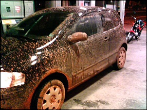 EcoSport-fox.jpg