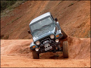 -flexy_141.jpg