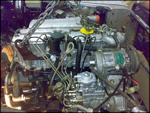 -20062008486.jpg