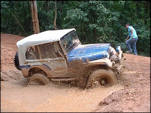 -jeep_204.jpg