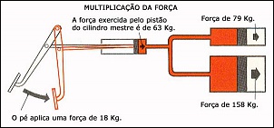 -a172.jpg