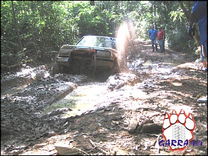 Foto das Piores &quot; Atoladas &quot; na Lama...-javan4.jpg