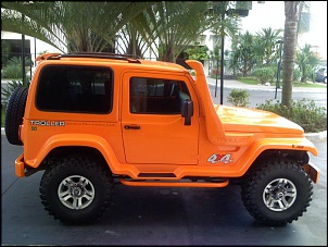 Vipal VJ 910-img_0191.jpg