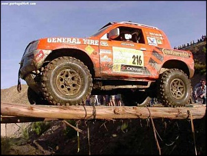 O 4x4 em Portugal-rain_20forest_076.jpg