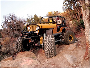 4 link calculator-04034wd_oldyeller01_z_112.jpg