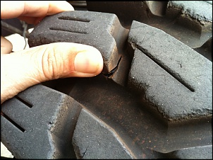 Maxxis creepy  x maxxis trepador-img_3152.jpg