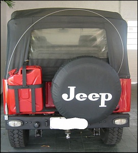 -jeeptraseira235.jpg