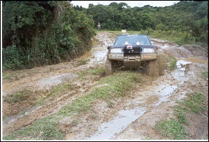Guincho Work 9000-crazydog14_25012003.jpg
